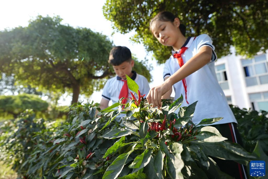永利集团现金